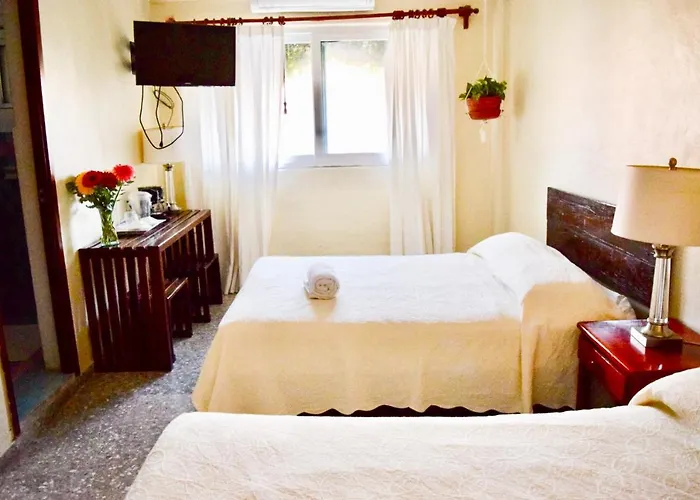 Hotel Boutique Delfin 5th Avenue