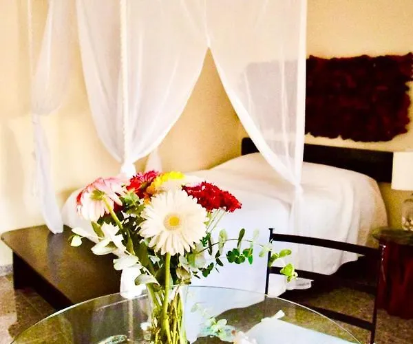 Boutique Delfin 5th Avenue Hotel 2*