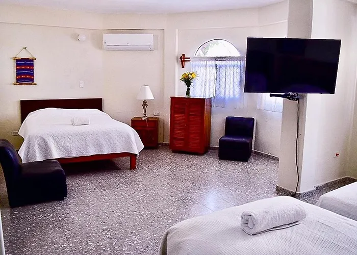 Hotel Boutique Delfin 5th Avenue 2*