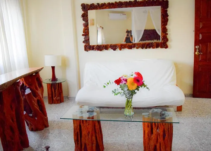 Hotel Boutique Delfin 5th Avenue 2*