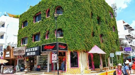 Hotel Boutique Delfin 5th Avenue