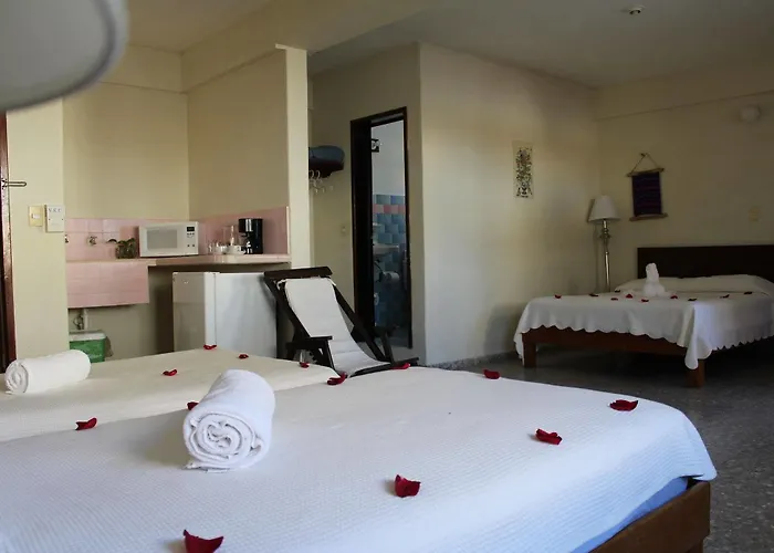 Boutique Delfin 5th Avenue Hotel 2*