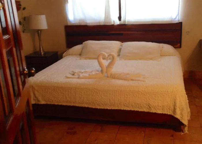 Hotel Boutique Delfin 5th Avenue