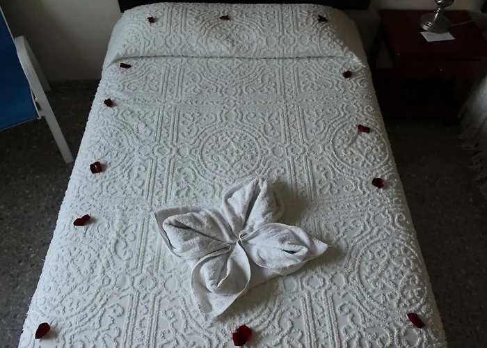 Hotel Boutique Delfin 5th Avenue Playa del Carmen
