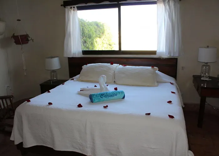 Hotel Boutique Delfin 5th Avenue Playa del Carmen